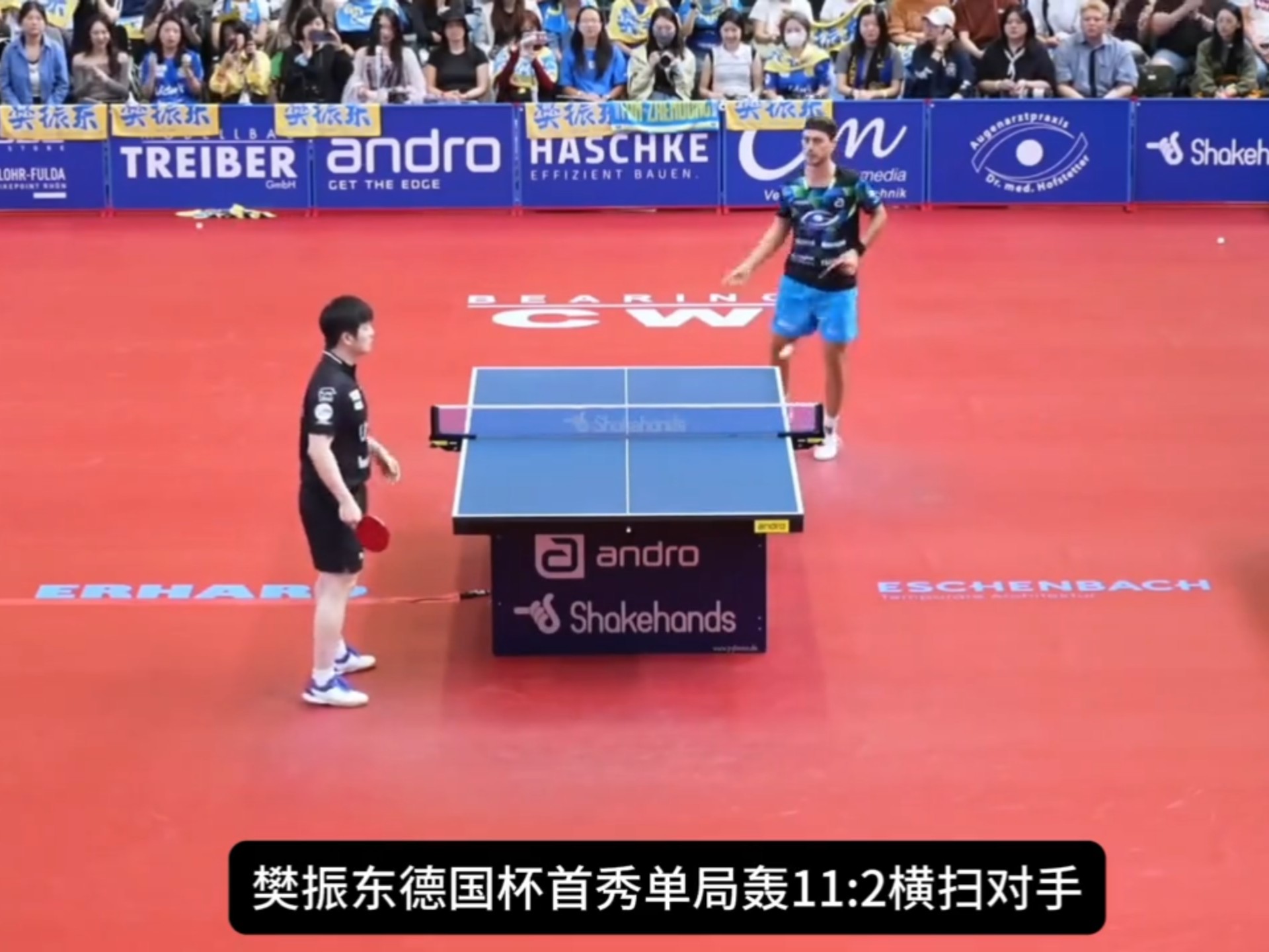 德国乒乓球队横扫英国乒乓球队，樊振东制霸全场的简单介绍