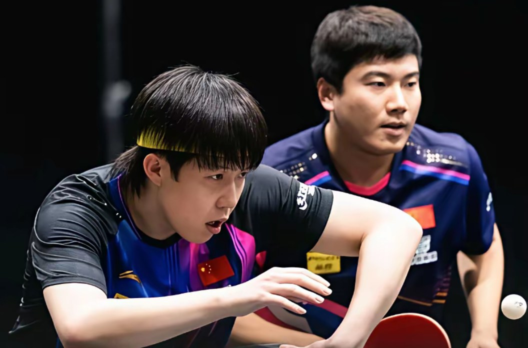 法国乒乓球队绝地反击奥地利乒乓球队，水谷隼制霸全场的简单介绍
